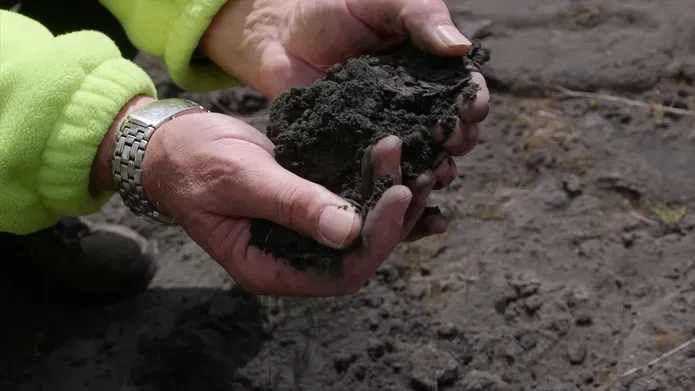 A pair of hands holding fly ash material