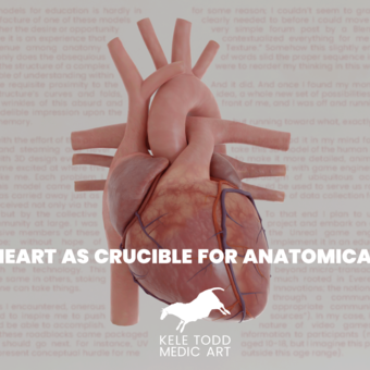 The Human Heart as Crucible for Anatomical Education