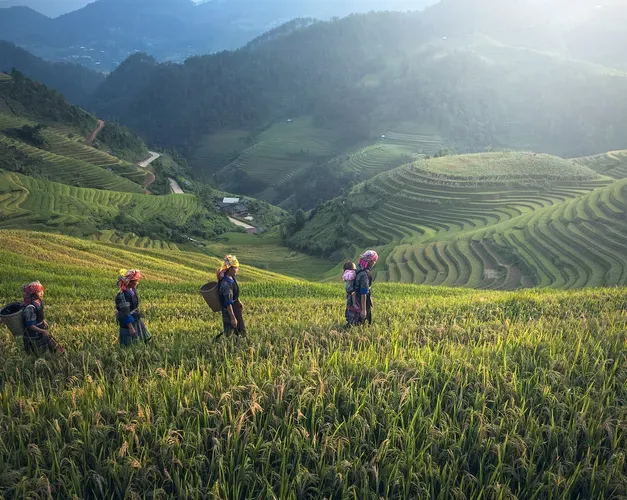 Farmers in a green field with mountains