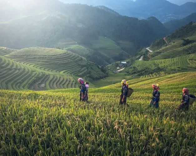 course-ug0bsc-geography-environmental-science