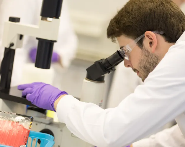 Biomedical and Molecular Sciences with Management MSc