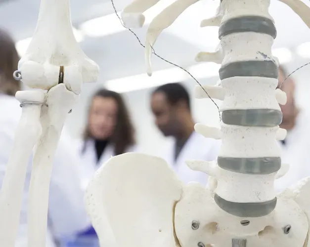 Skeleton model in foreground, students in labcoats in background