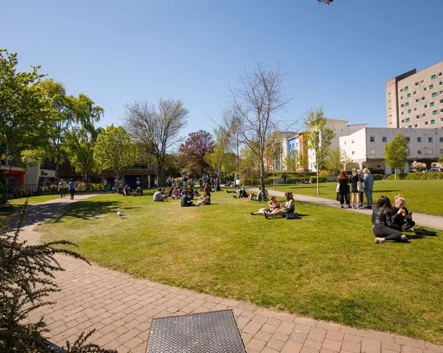 Students sit on Campus Green, looking towards Belmont Flats on a sunny day