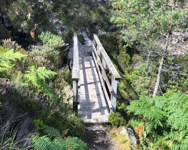 A view from the path leading to the bridge, its gently weathered appearance making it melt into the landscape of ferns and rocks