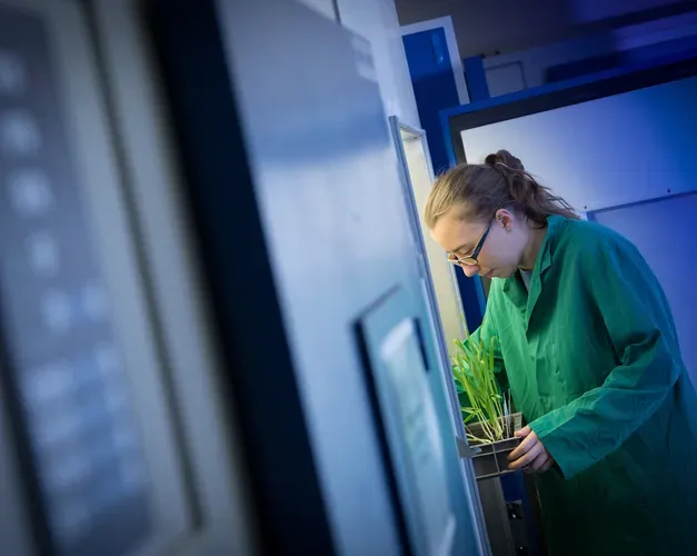 Scientist working in the plant lab in a green lab coat