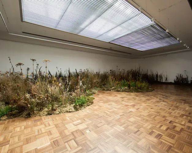Flowers arranged like a meadow on the wooden floor of the gallery space