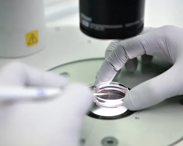 gloved hands holding specimen in circular glass container