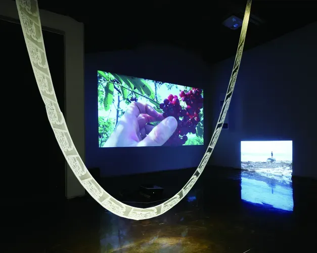 Video installation in a dark room. One hanging screen shows a hand reaching for berries on a tree. A looped paper hangs in front. 
