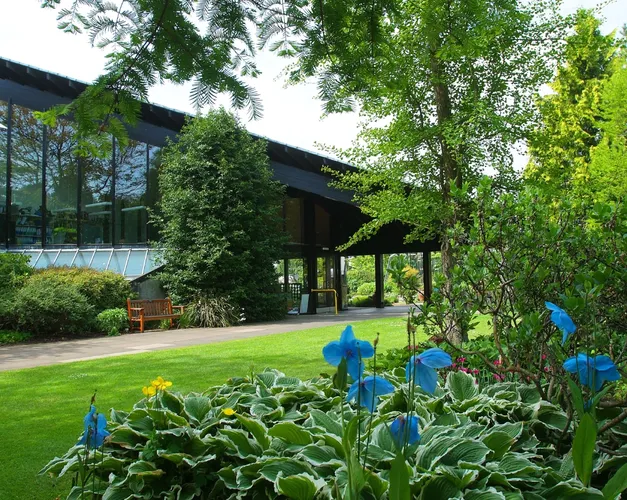 a group of blue flowers blooming out of green grass surrounded by other vibrant greenery