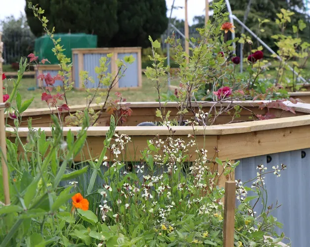 grey planters full of sprouting greenery 