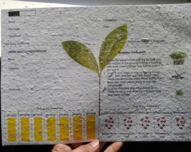 card with seeds in it showing a prescription and a plant with green leaves