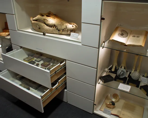 Image of white display cases with museum items in them