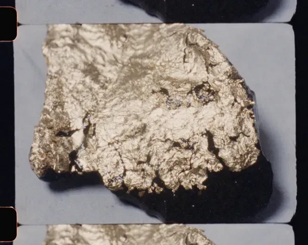 16mm film still. picturing a rock covered in gold leaf. The form of the rock and leave create a curious animal like head/face.