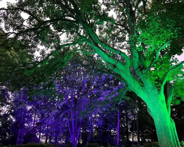 Over the Garden Wall - Festival of the Future 2022