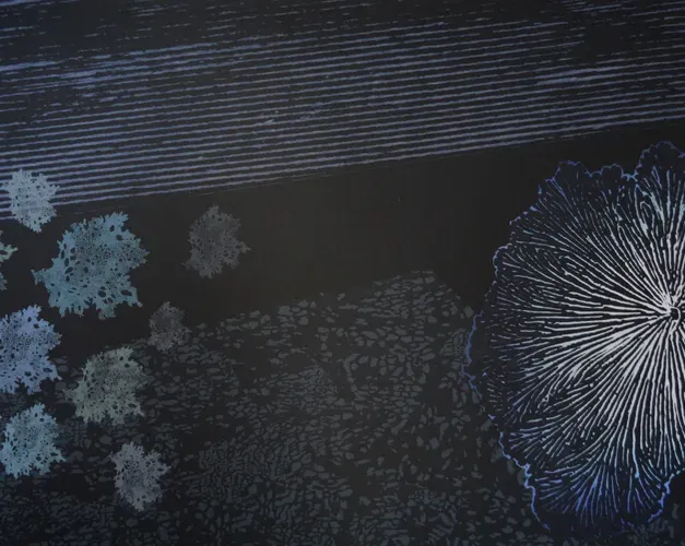 Print from the series Calming Chaos by Naomi d'Cruz