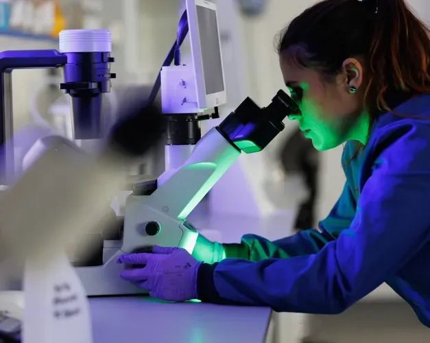 Working laboratory in The Centre for Targeted Protein Degradation (CeTPD)
