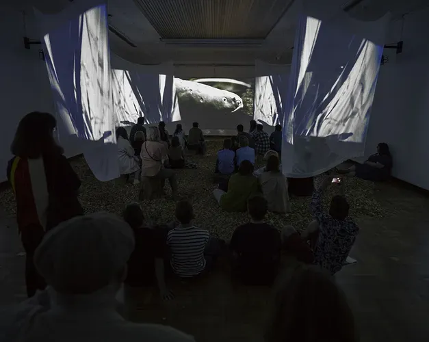 Audiences gathered in the exhibition space sitting on wood chip, wooden stumps and standing all watching five projection screens with an image of an electric eel