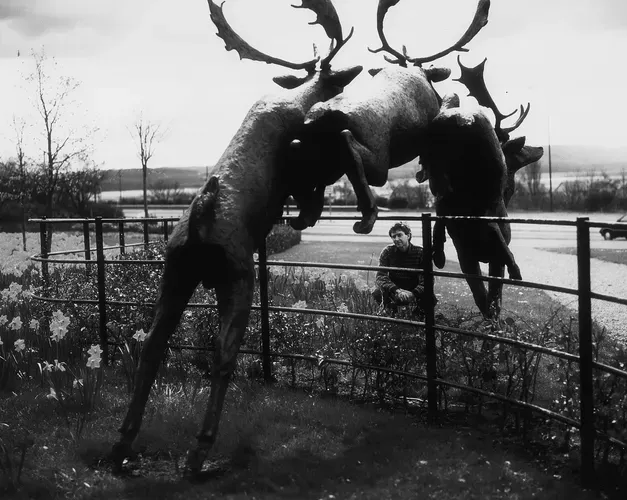 Deer Leap by David Annand