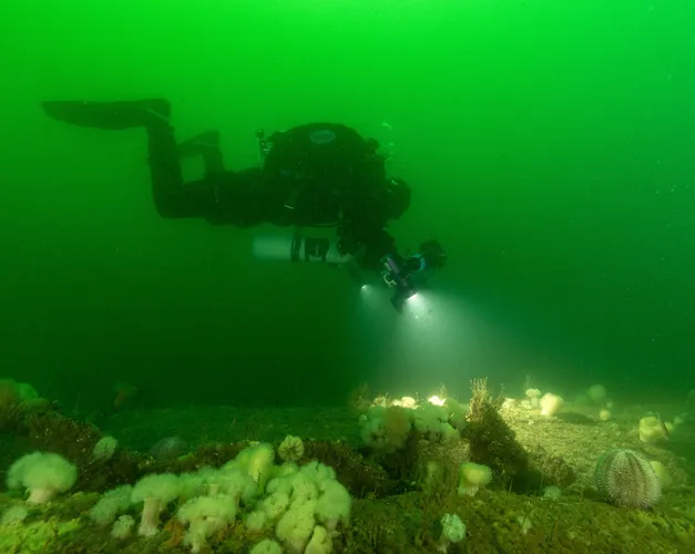 Divers use lights to survey the wreck underwater