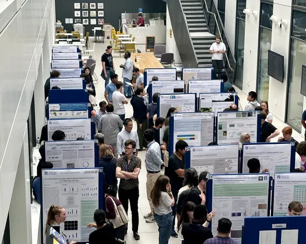 Multiple rows of poster boards with posters attached. People stood in front of posters talking.