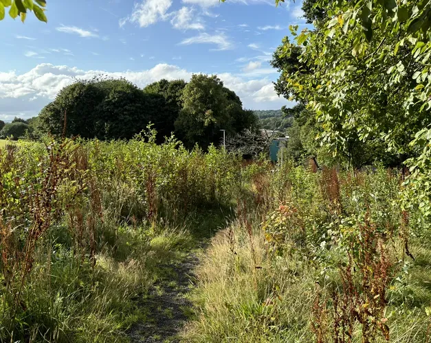 Overgrown green space, sitting high on hill, with path running through the middle. Bright blue sky in background