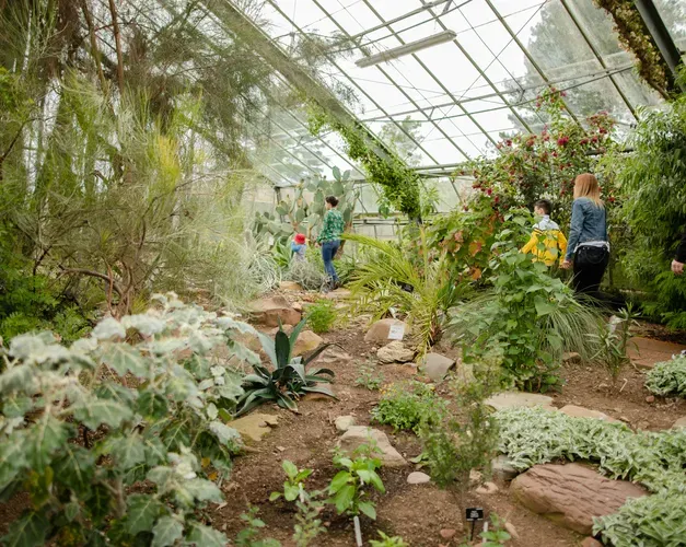 Inside a hot house with lots of tropical plants