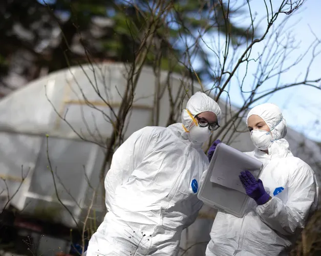 Two people in full white ppe coveralls and masks stand looking at a clipboard, there is a greenhouse behind them.