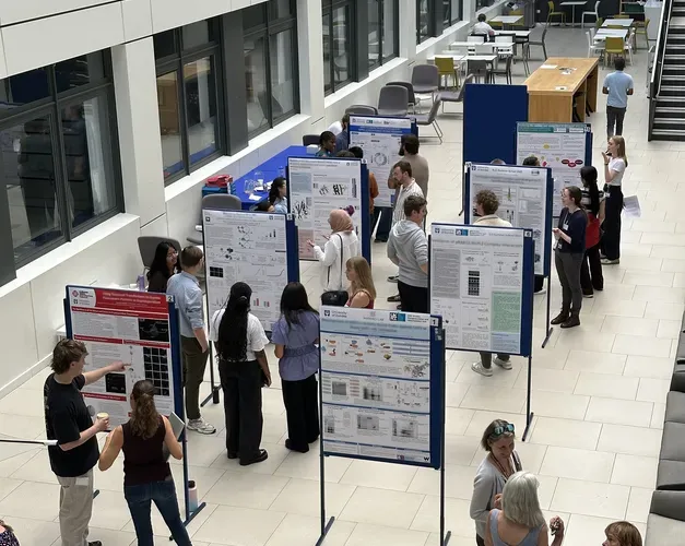 Posters on display on boards with people viewing them