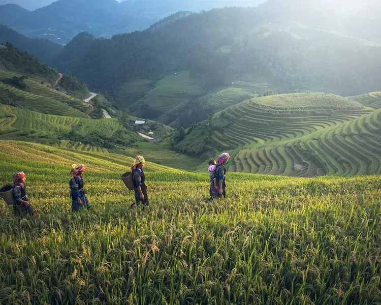 Farmers in a green field with mountains
