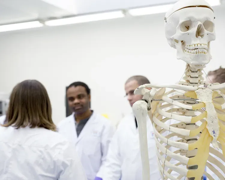 some students and a skeleton