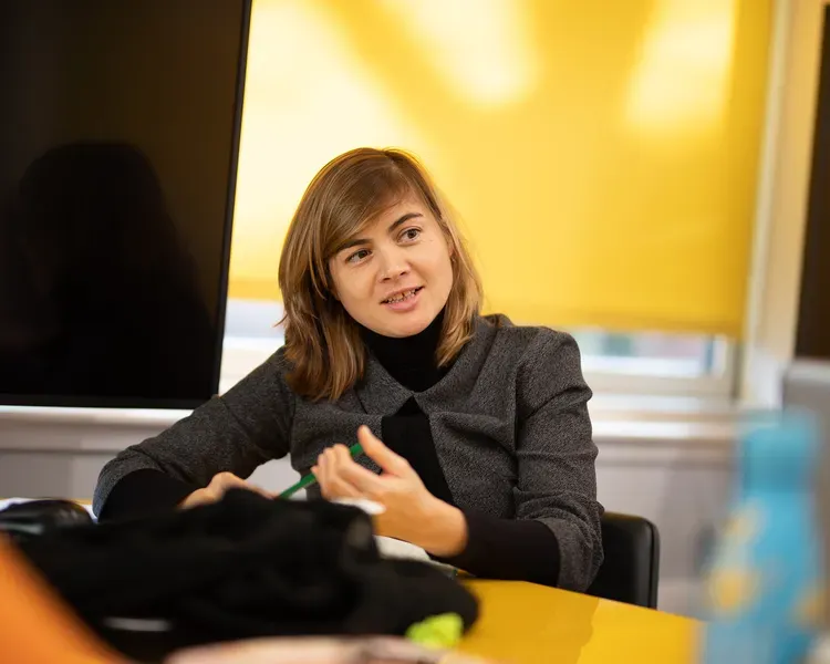 Professional Doctorate student