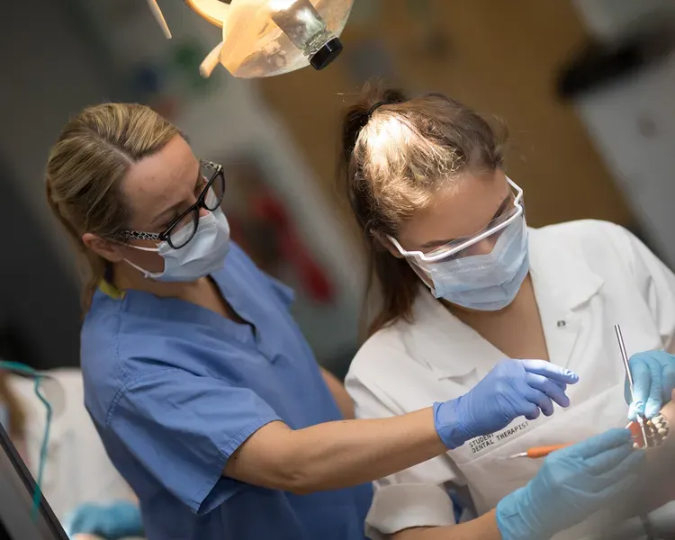 Dentistry students at work