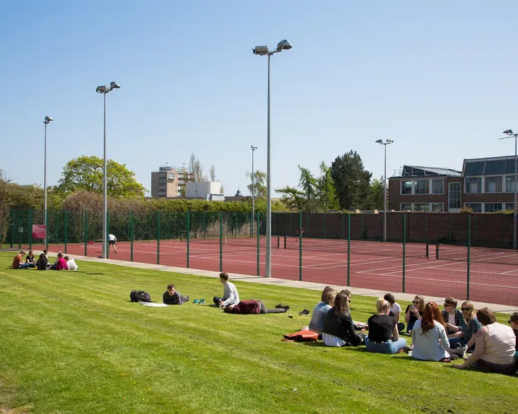 people sitting on grass next to tennis courts