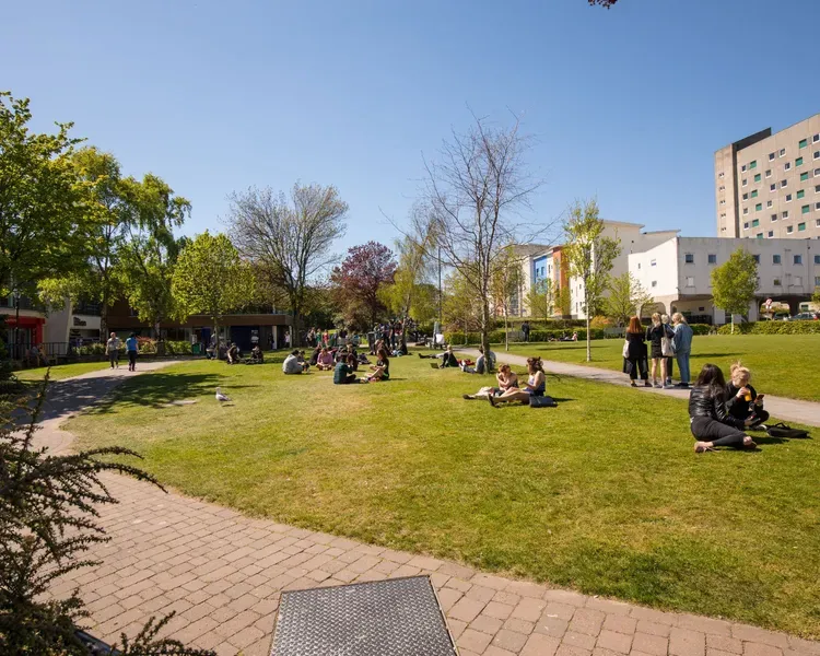 Students sit on Campus Green, looking towards Belmont Flats on a sunny day