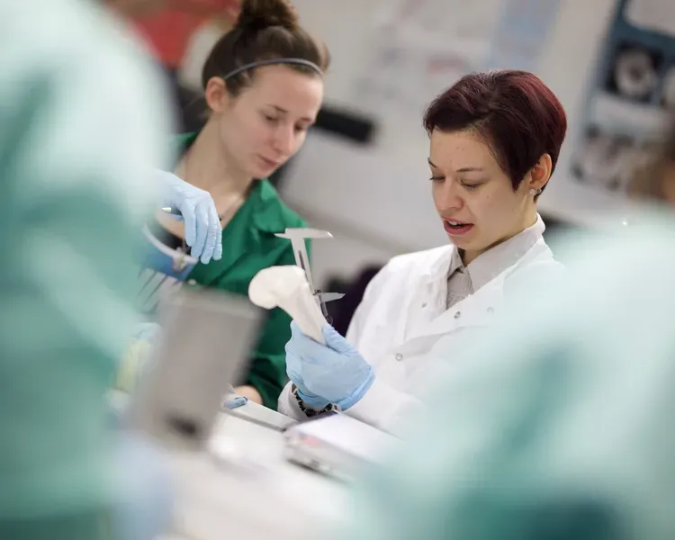 2 people in a lab looking at bones