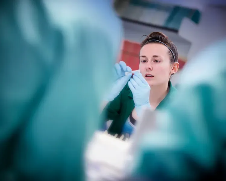 Forensic Anthropology student