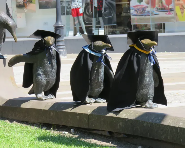 penguin models dressed in caps and gowns