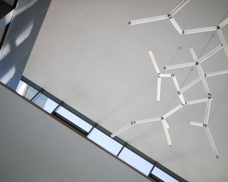 the interior of a Life Sciences building showing molecular art