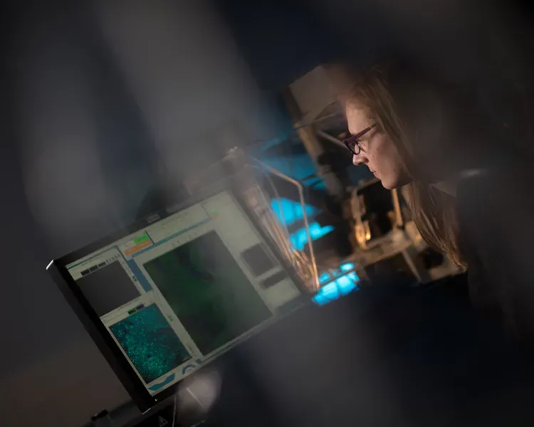 A student at a computer in the dark