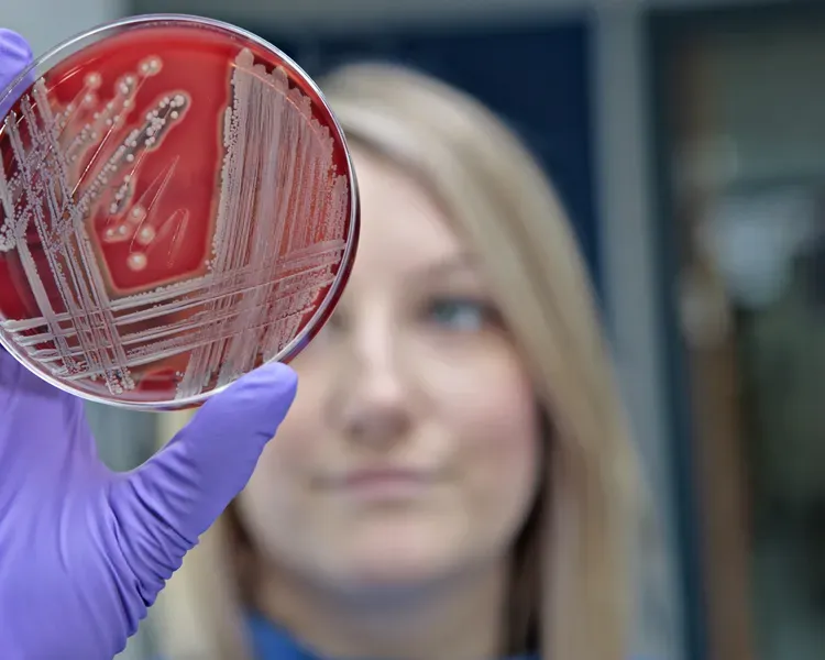 Microbiologist holding up petri dish with a pattern on it