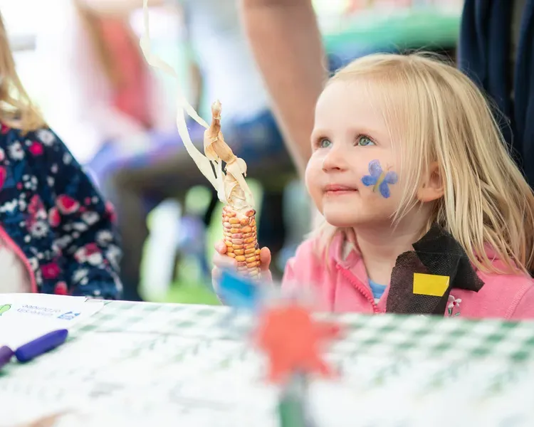 small girl holding a corn cob, at a science event put on for children