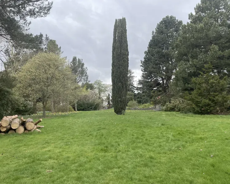 Green cut grass open field at Dundee Botanic Garden