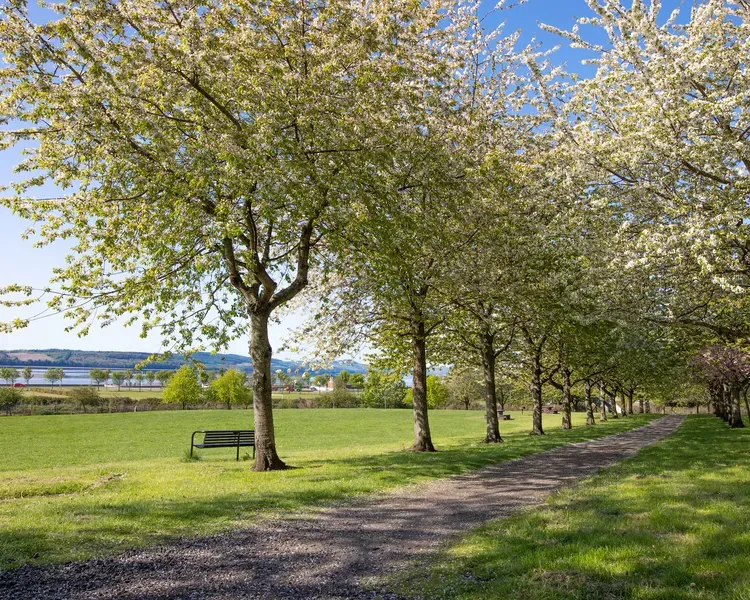 View of Magdalen Green