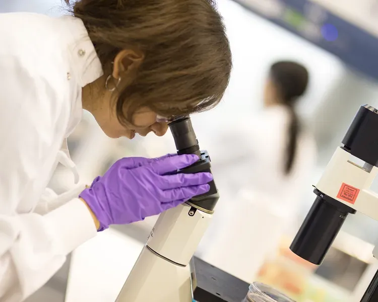 woman in lab coat with purple gloves looking into a microscope