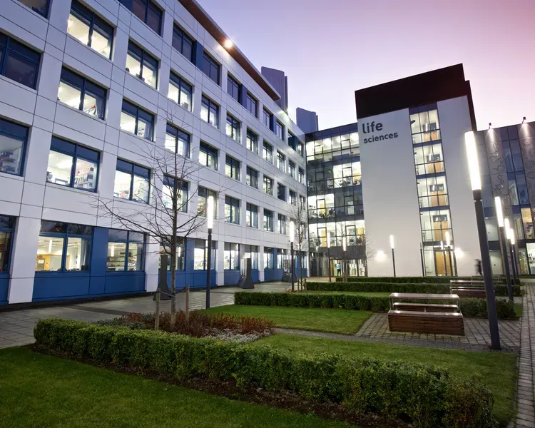 View of the Life Sciences Discovery Building at dusk with the lights illuminating the grounds