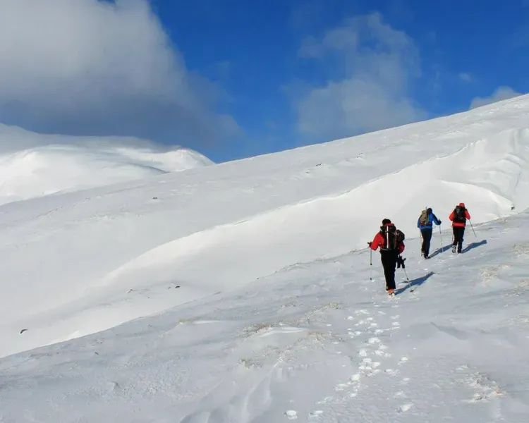 mountain covered in snow