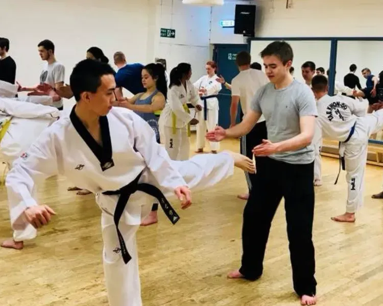 students practising taekwondo moves