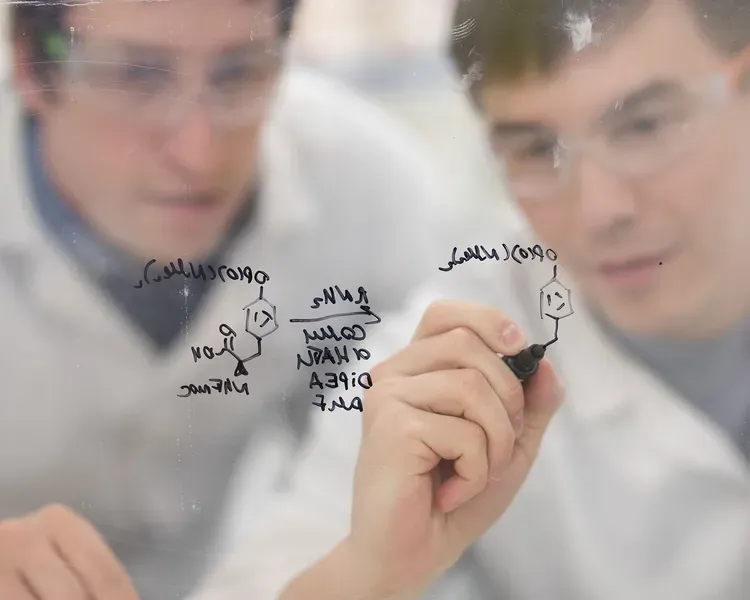 A lecturer and student in front of a perplex glass writing an equation in black pen