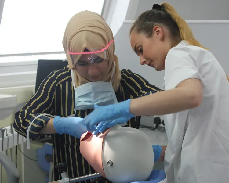 students working on a pretend dental head