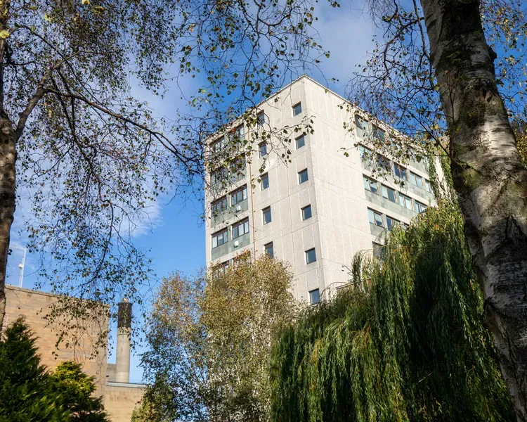 Campus building through the trees